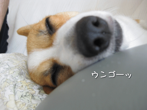 kana6-33.gif