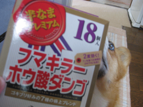 kana6-38.gif