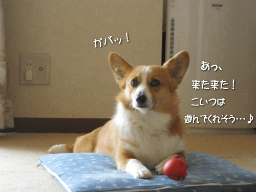 kana6-5.gif