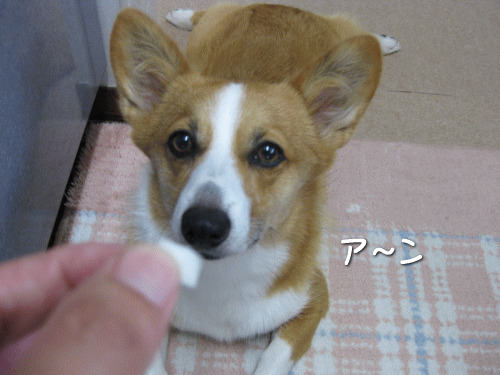kana7-11.gif