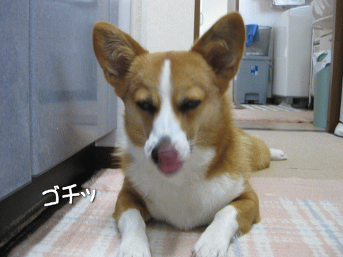 kana7-12.gif