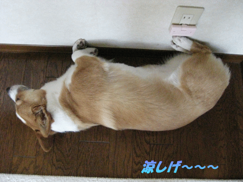 kana7-4.gif