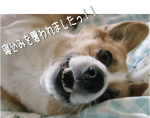 kana7-5.gif