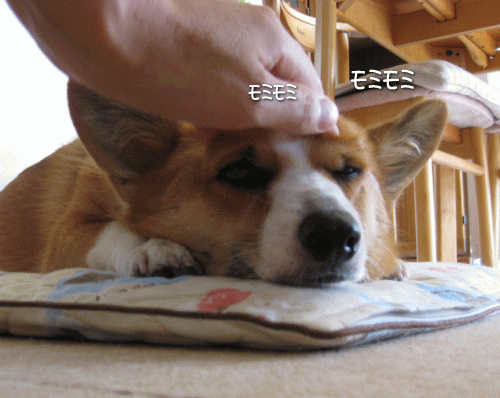kana8-11.gif