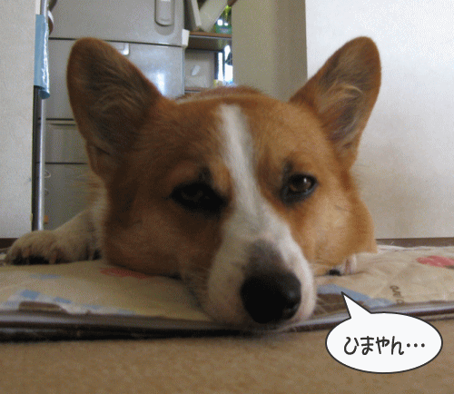 kana8-13.gif