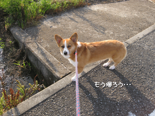 kana8-2.gif
