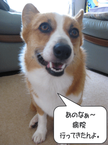 kana8-28.gif
