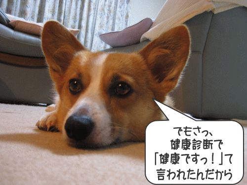 kana8-32.gif