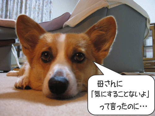 kana8-33.gif