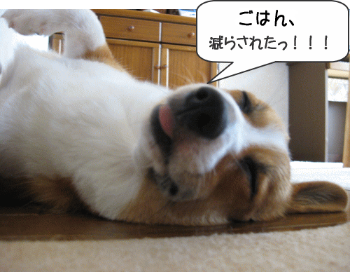 kana8-35.gif