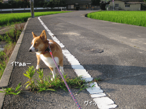 kana8-4.gif