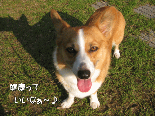 kana9-23.gif
