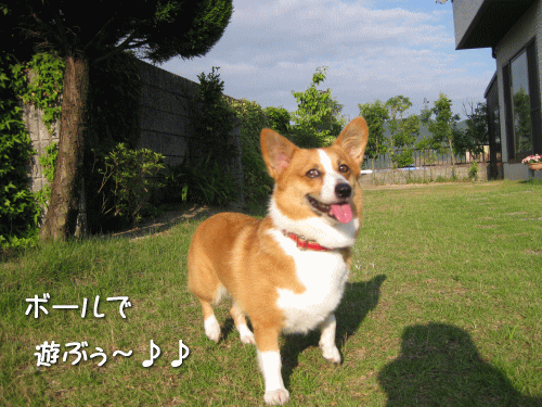 kana9-24.gif