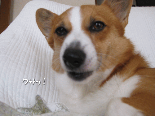 kana9-29.gif
