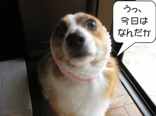 kana9-3.gif