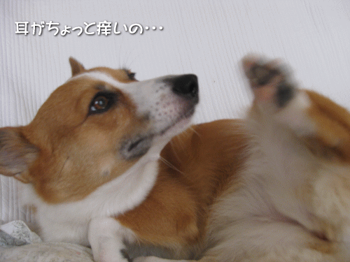 kana9-30.gif