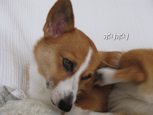 kana9-31.gif