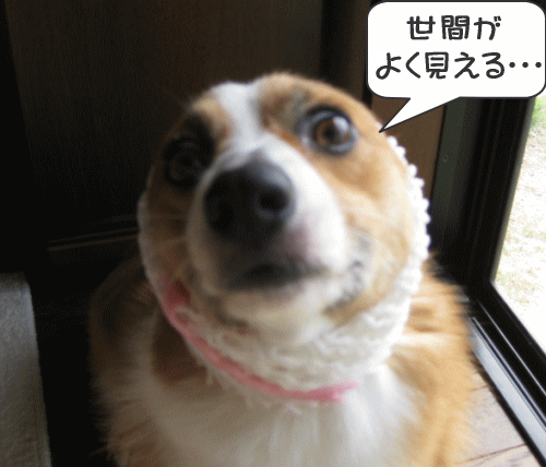 kana9-7.gif