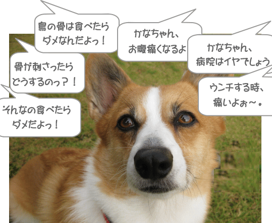 うるさいなっ
