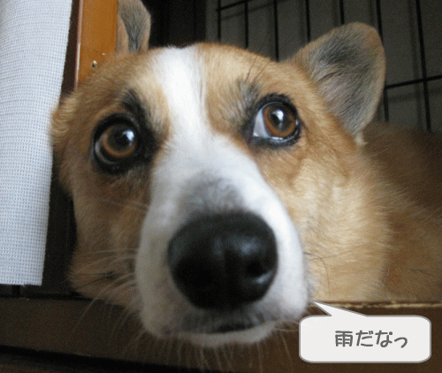 つまらんし.gif