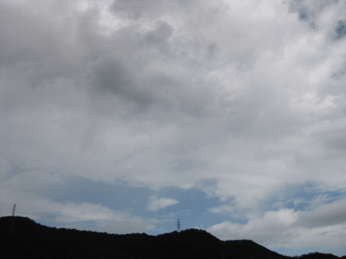 台風一過.gif