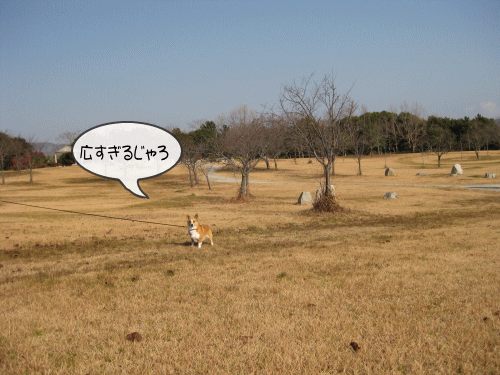 広すぎる赤穂海浜公園