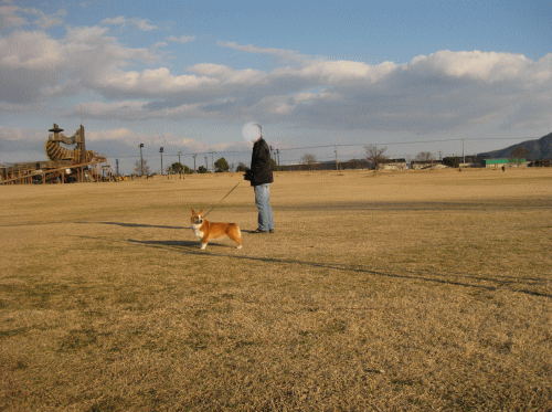 岡山の犬と遊べる公園