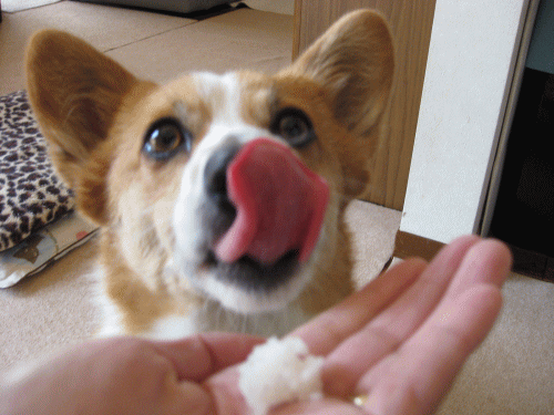 待て5.gif