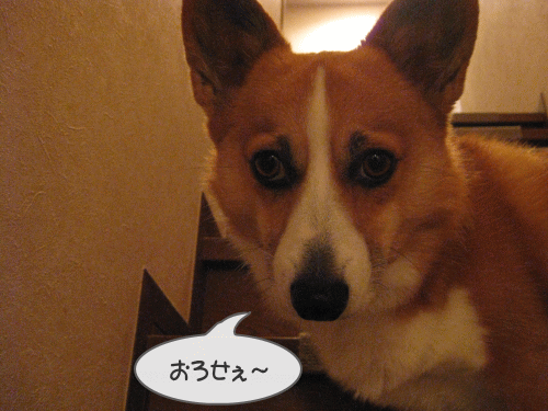 迎えに来い!!